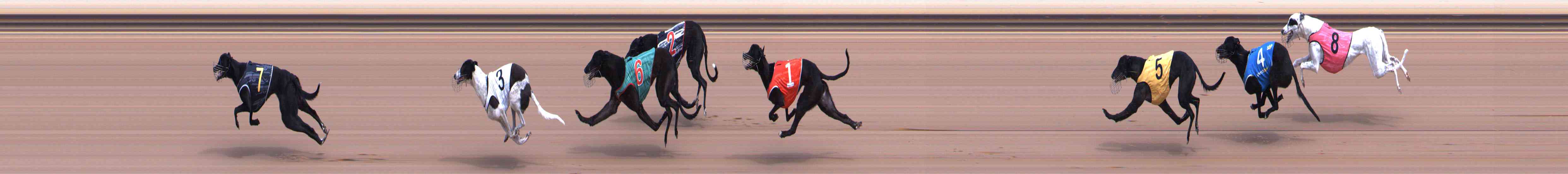 Race result finish photo